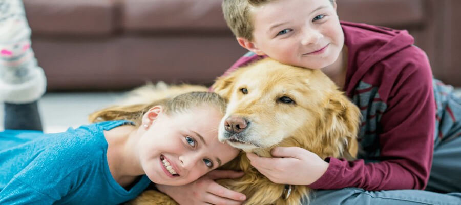 The Best Dog Breeds to Adopt for Active Families